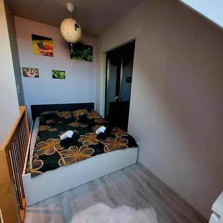 Apartament Koniczynka